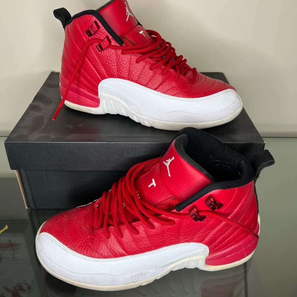 Jordan university red 12s